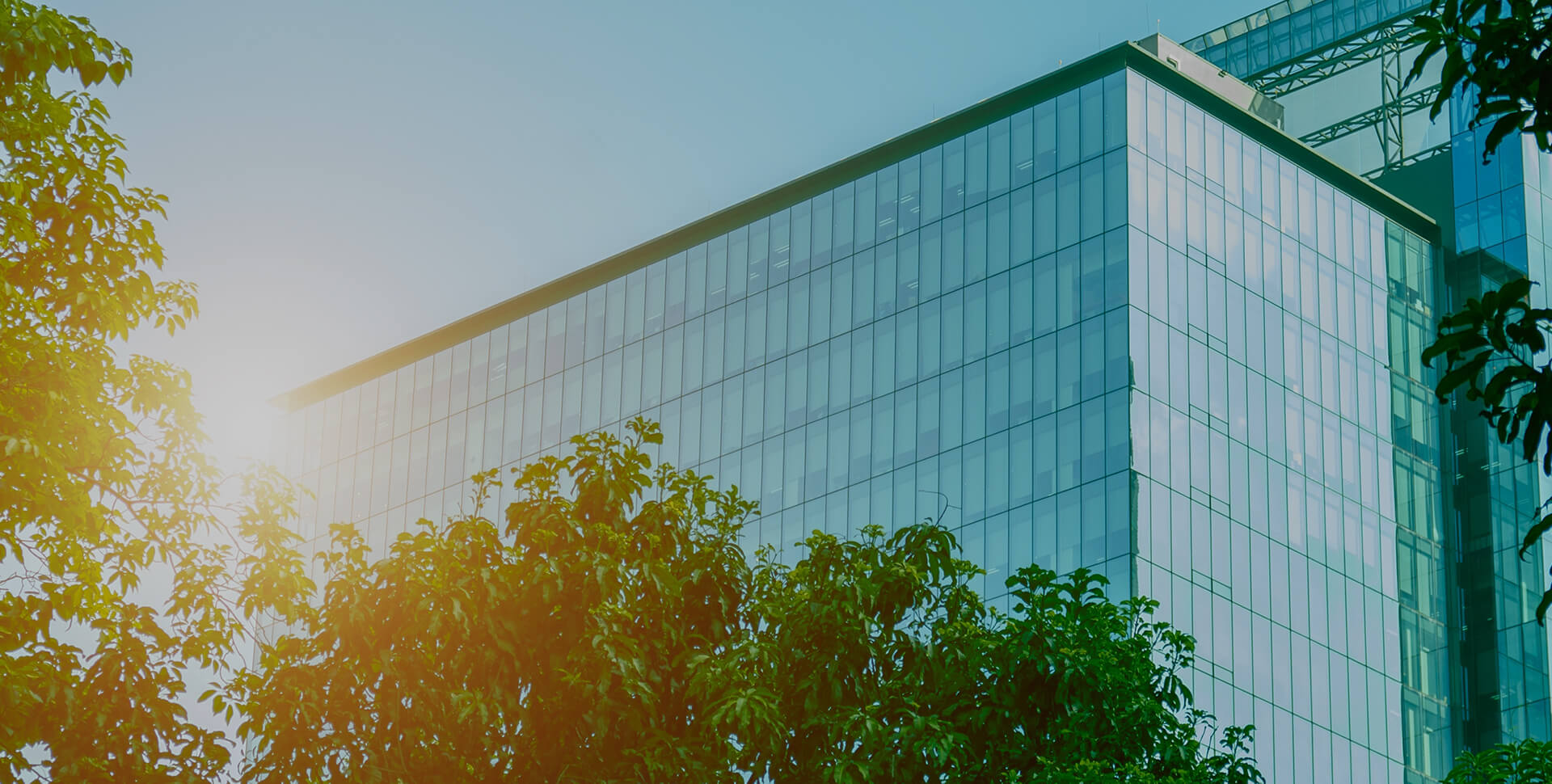 Leadership Built on Science and Impact 