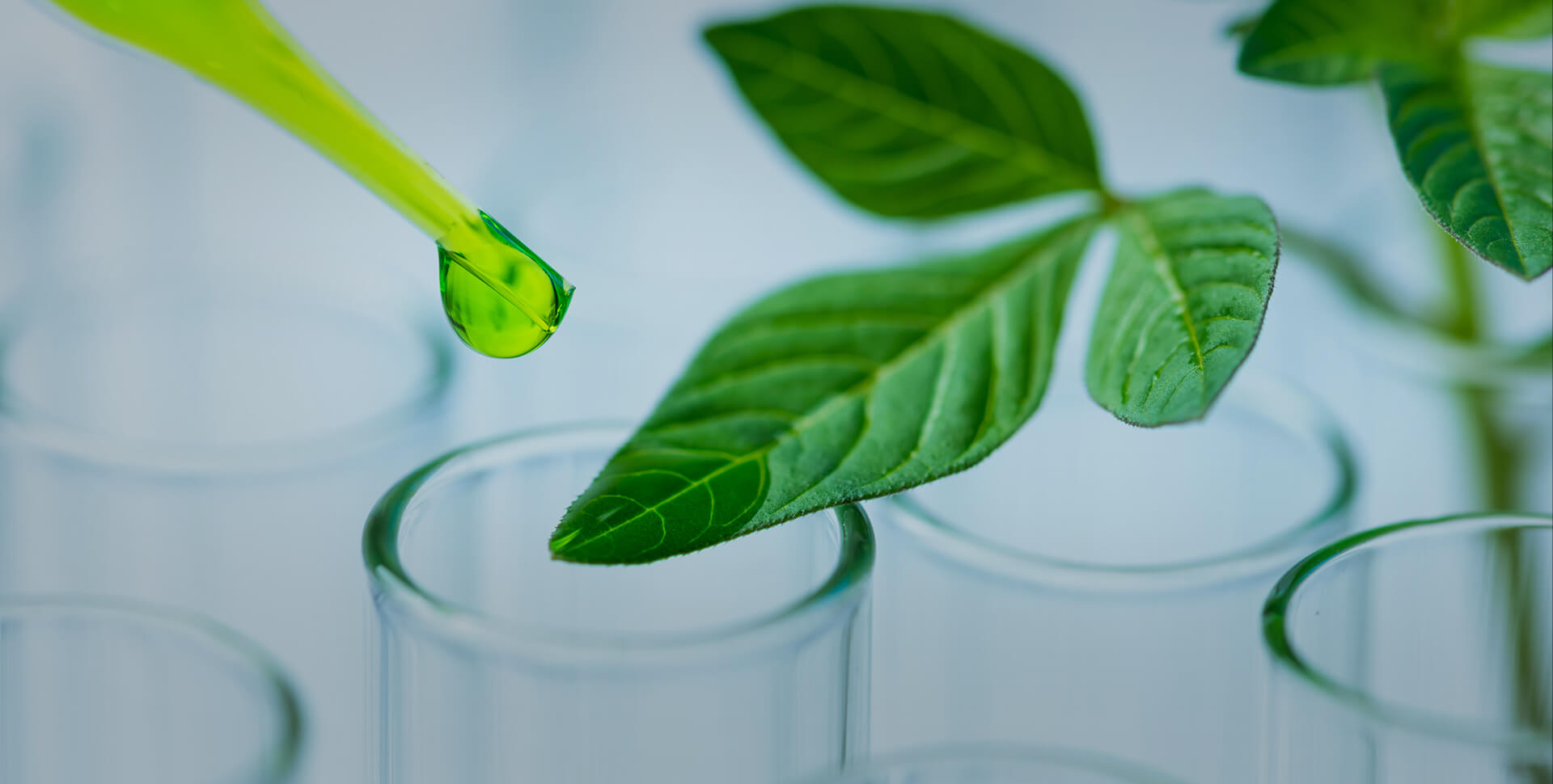 Innovation News &amp; Anti Aging Insights