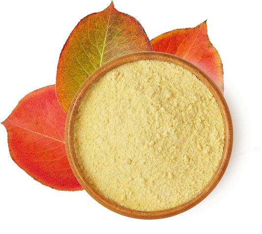 BeFisetin® Cosmetic