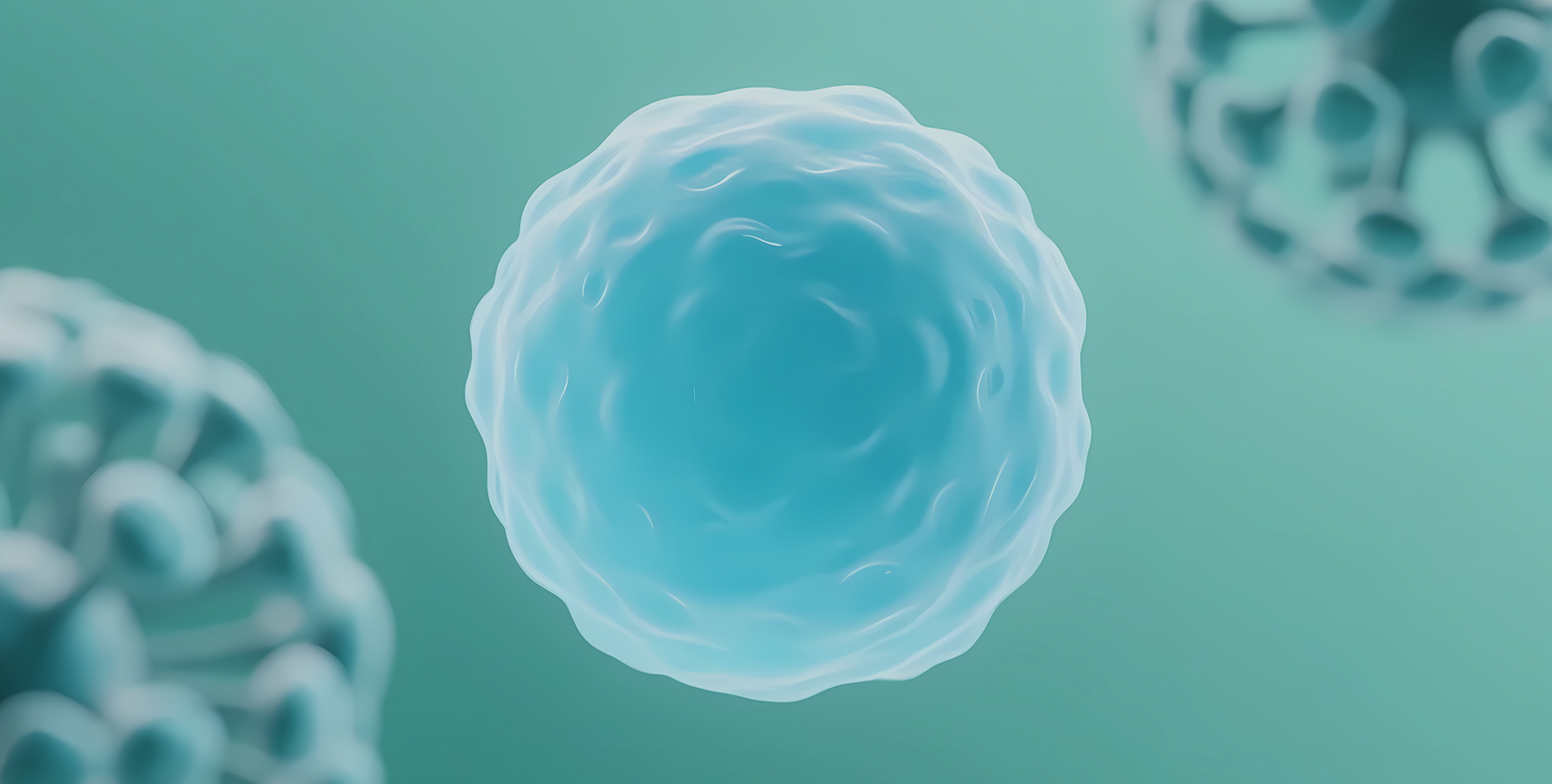Fisetin: 
The Leading Botanical Senolytic