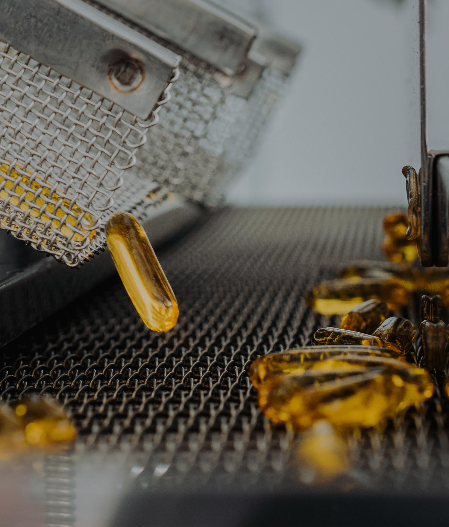 ODM &amp; CDMO
Services