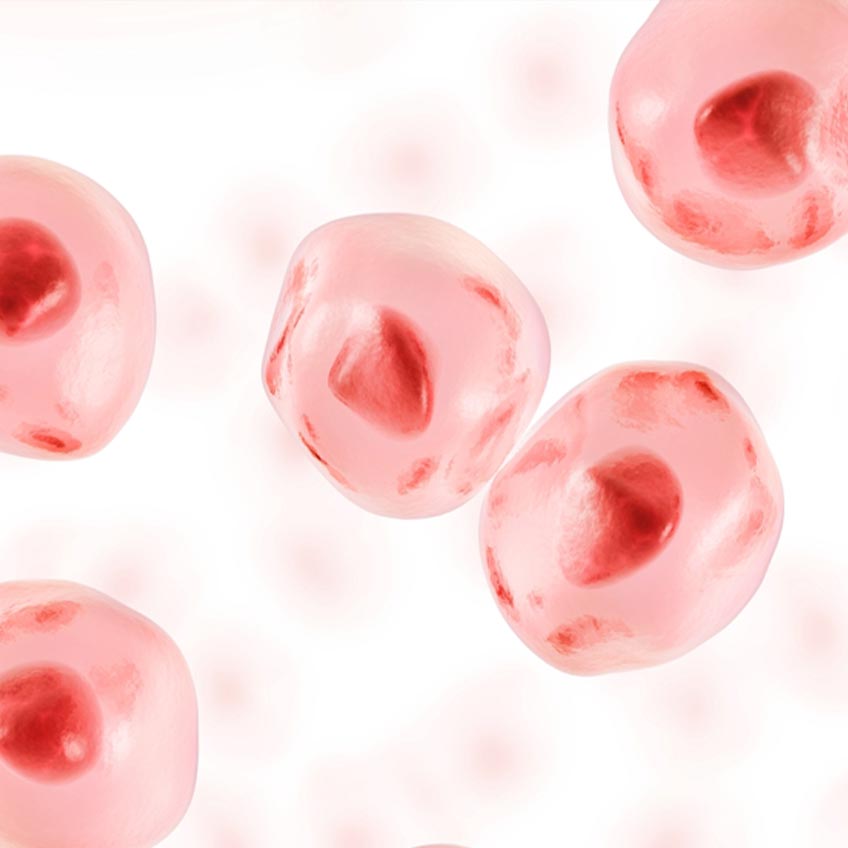 StanYouth® Urolithin A