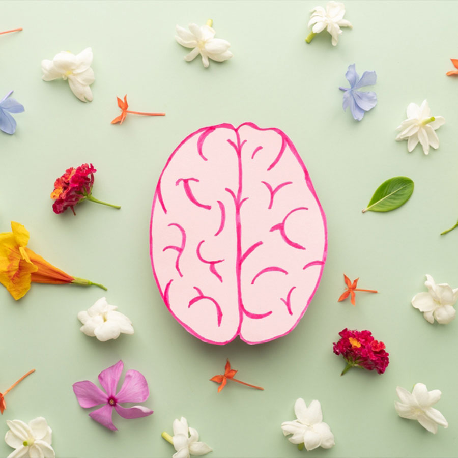 Promotes Neurological
&amp; Emotional Health