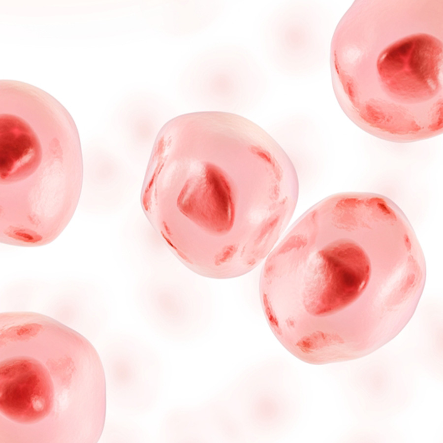 Enhance 
Skin Cell Renewal