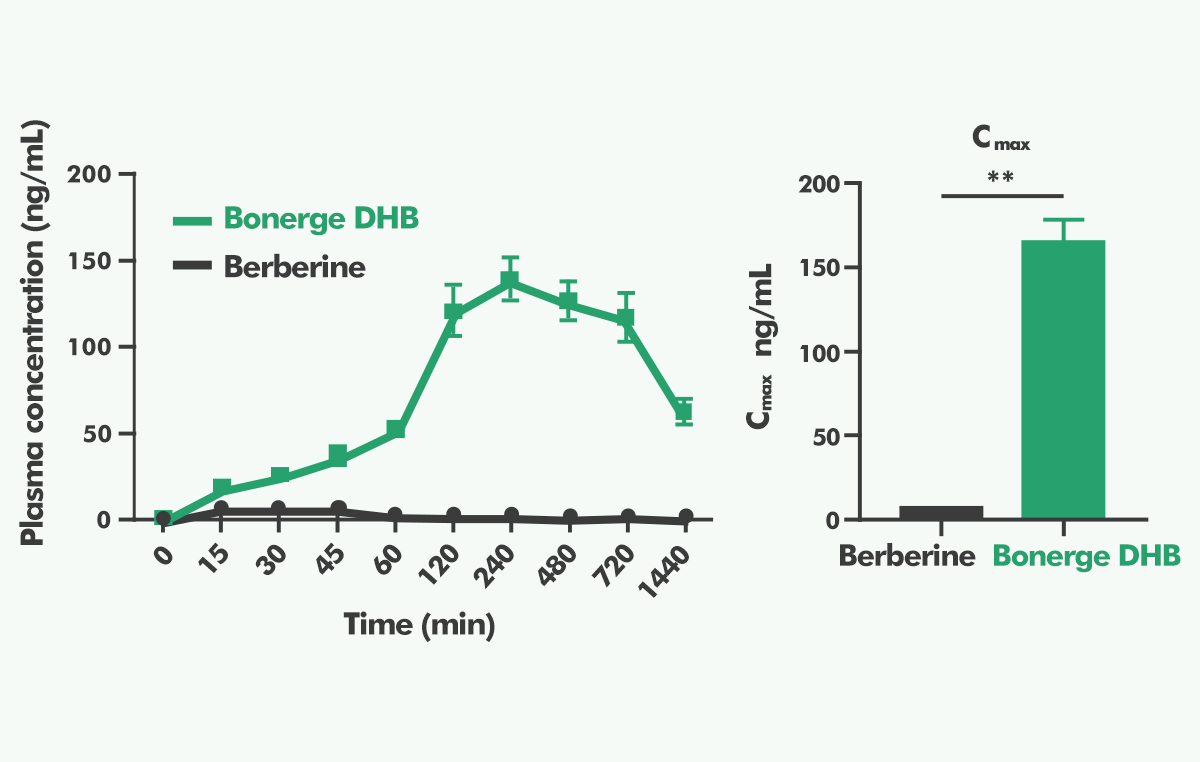 Pharmacokinetics Study