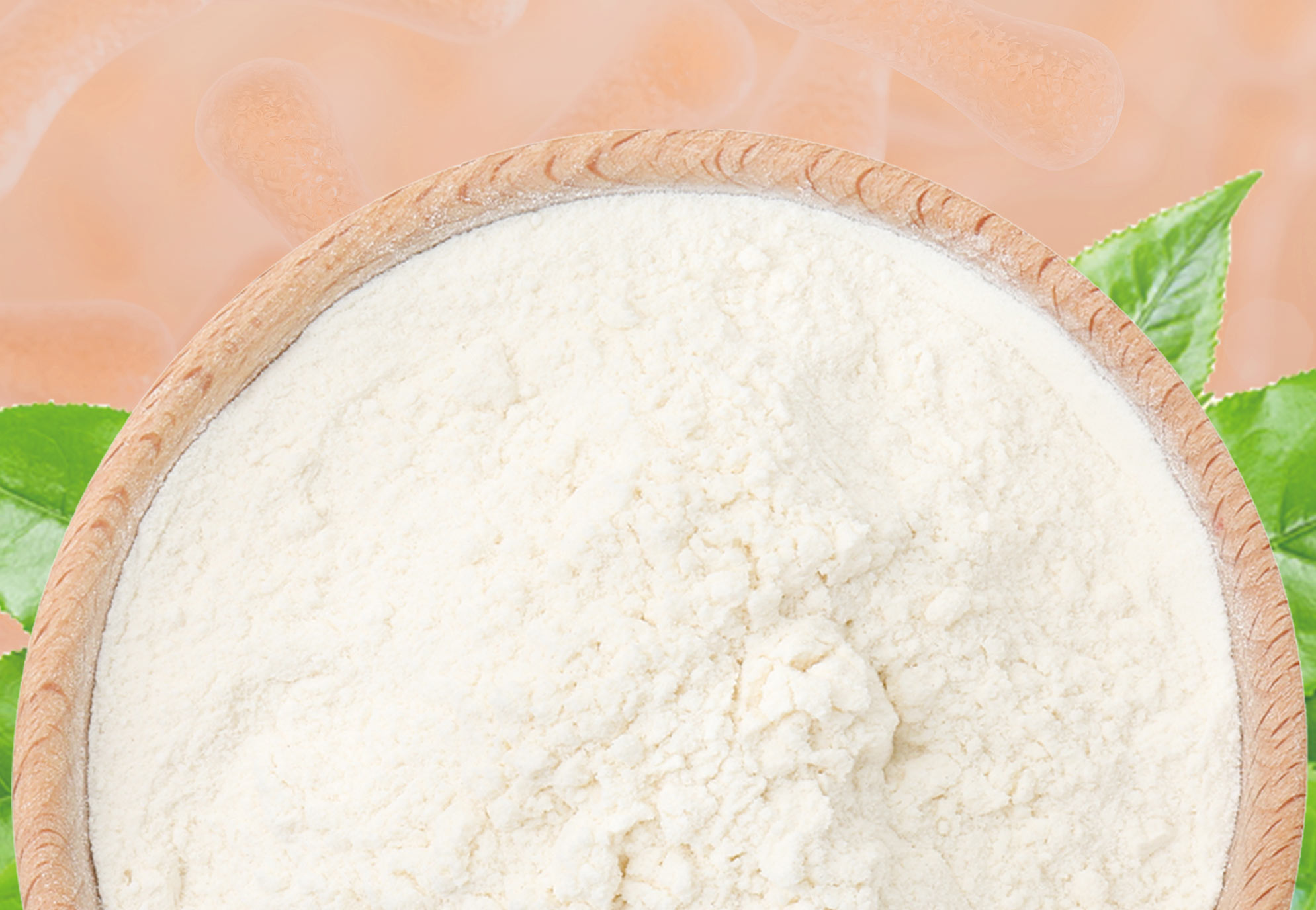 Amuctive™ Akkermansia 