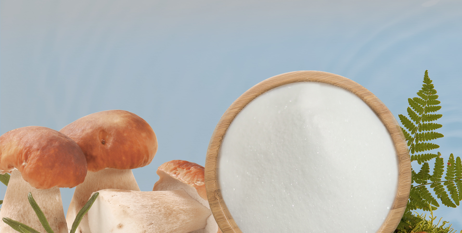 100% Natural Fermented  L-Ergothioneine