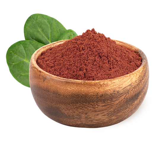 What is MitoSober® ?