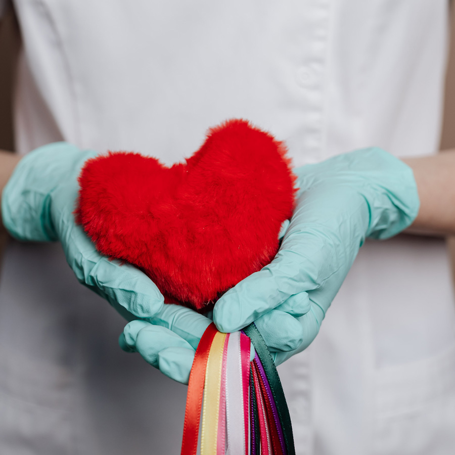 Supports Cardiovascular Health