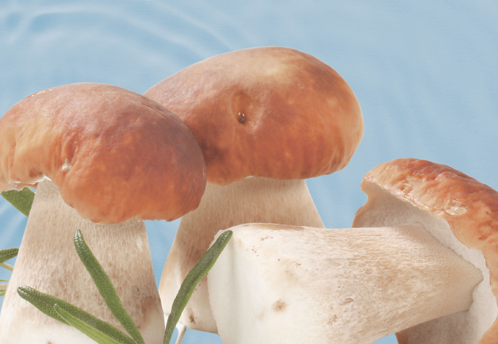 L-Ergothionine Cosmetic