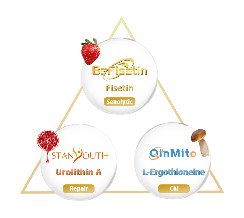 What's StanYouth® CR3 ?