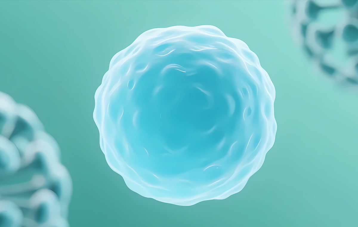 Senolytic Interventions