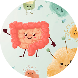 Gut Health