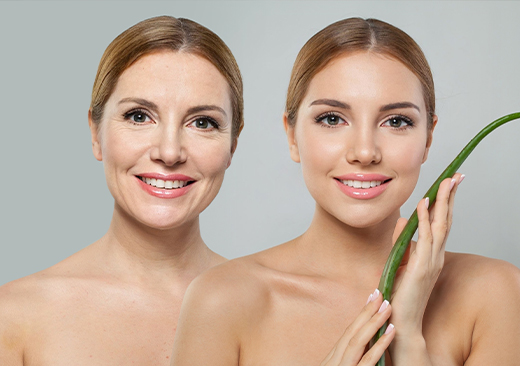 Clinical research on fisetin: Multi-targeted approach to cellular homeostasis