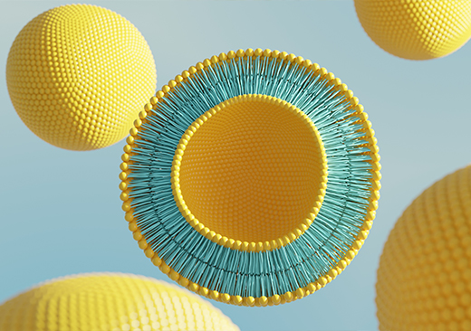 The NAD⁺ liposome problem: supplement science vs marketing claims