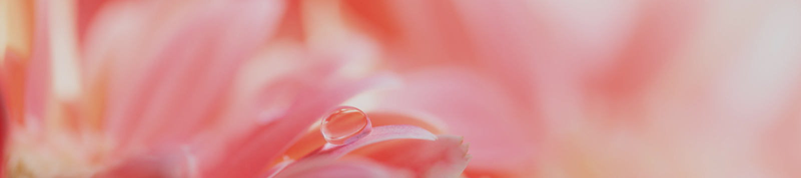 Regulate Skin's Circadian Rhythm