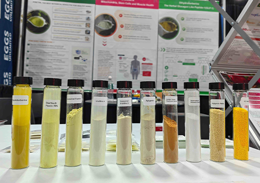 Bonerge Showcases Post-NMN Anti-Aging Ingredient Solutions at SupplySide East