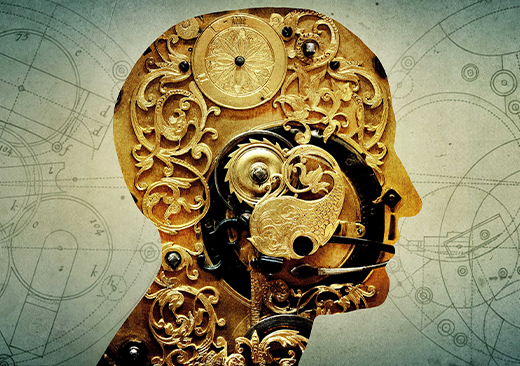 Urolithin A and Circadian Rhythm: Restoring Biological Clock Function in Aging