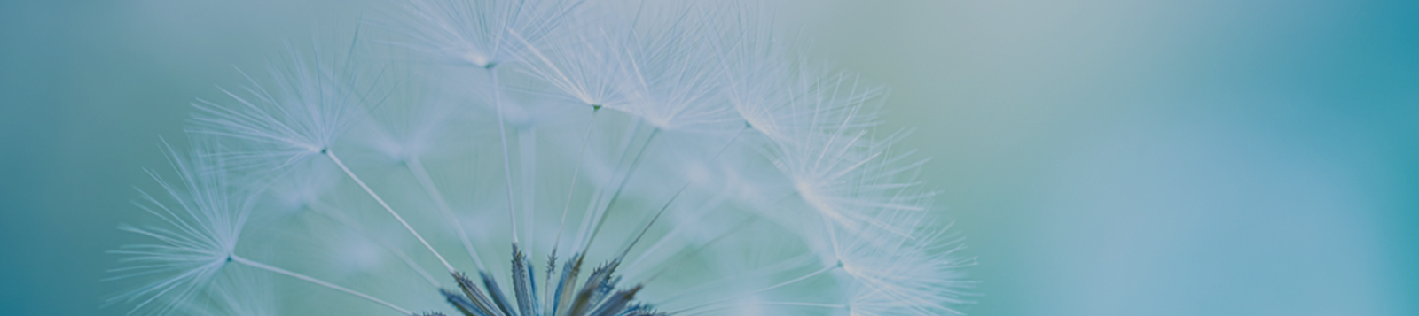 Powerful Antioxidant &amp; Skin Barrier Protection