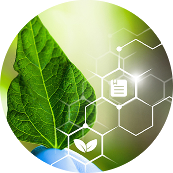 Patented Active Ingredients