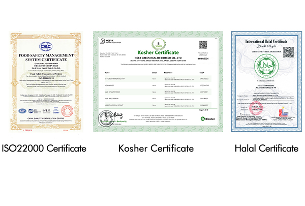 Partnerships with Leading Global Brands