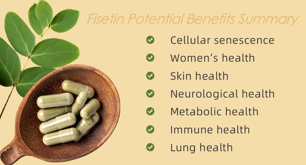 Fisetin benefits overview – senolytic activity, brain health, skin, women's health, immune and lung support