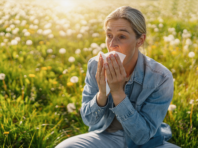 Quercetin for Seasonal Allergies: How It Compares to Fisetin