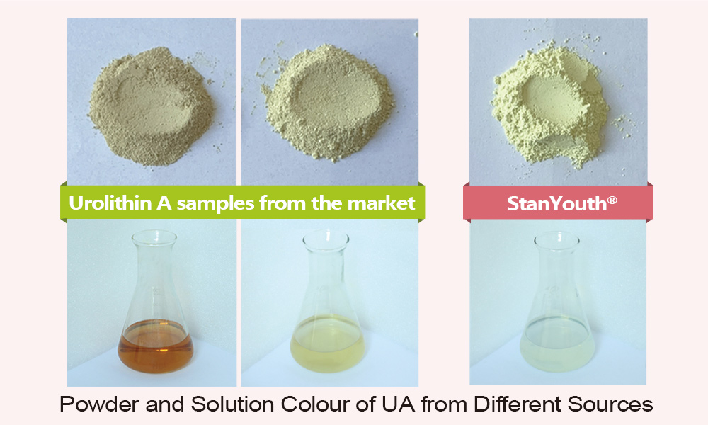fda9506b772de57f852fe38f73cd83b8.jpg