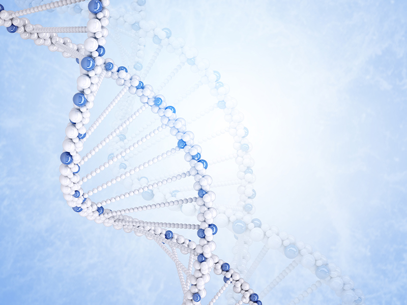 Precision senescence: Fisetin and healthy aging after SenNet