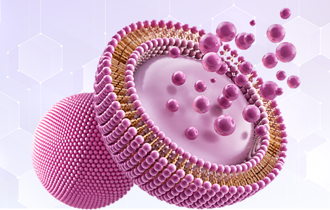 The next era of liposomal delivery: Lessons from s-equol